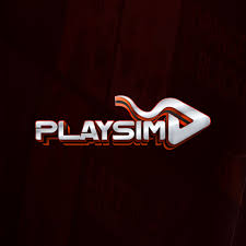 PlaySim